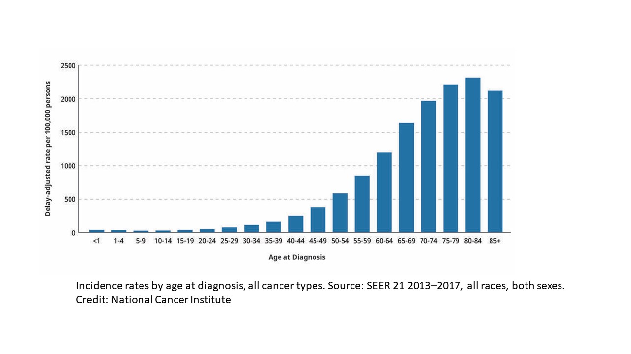Cancer incidence by age